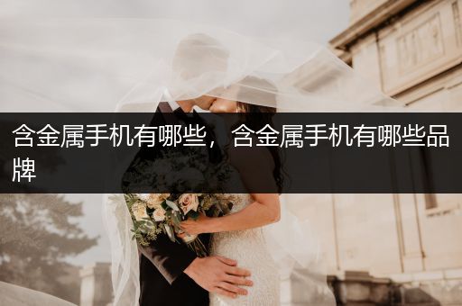 含金属手机有哪些，含金属手机有哪些品牌