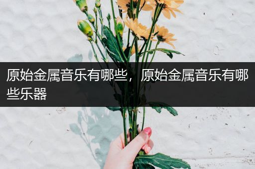 原始金属音乐有哪些，原始金属音乐有哪些乐器