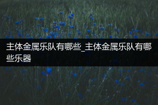 主体金属乐队有哪些_主体金属乐队有哪些乐器