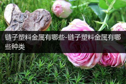 链子塑料金属有哪些-链子塑料金属有哪些种类