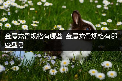 金属龙骨规格有哪些_金属龙骨规格有哪些型号