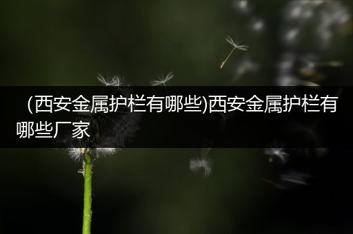 （西安金属护栏有哪些)西安金属护栏有哪些厂家
