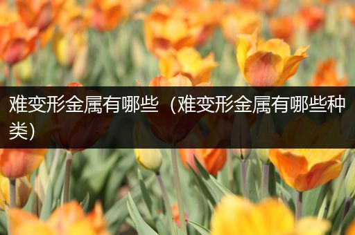难变形金属有哪些（难变形金属有哪些种类）