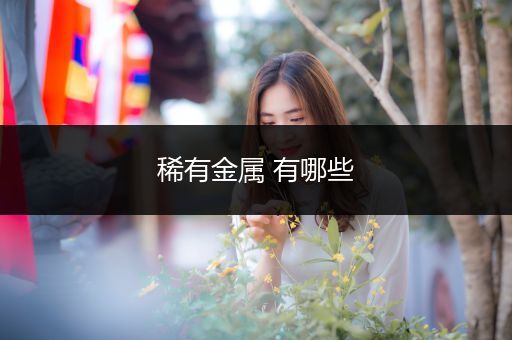 稀有金属 有哪些