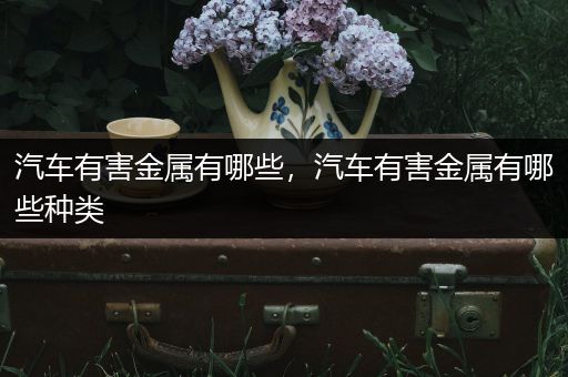 汽车有害金属有哪些，汽车有害金属有哪些种类