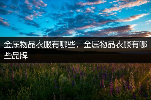 金属物品衣服有哪些，金属物品衣服有哪些品牌
