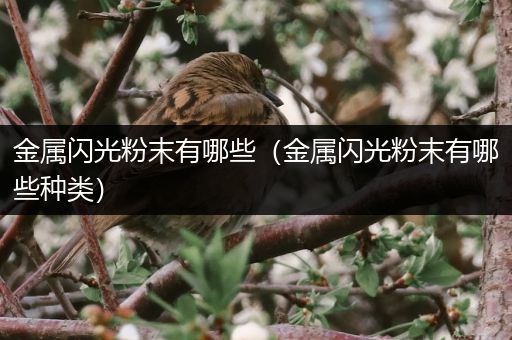 金属闪光粉末有哪些（金属闪光粉末有哪些种类）