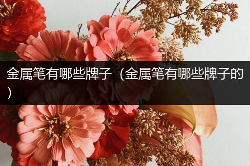 金属笔有哪些牌子（金属笔有哪些牌子的）