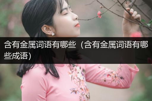 含有金属词语有哪些（含有金属词语有哪些成语）