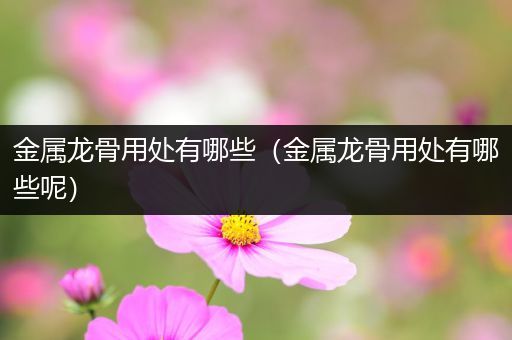 金属龙骨用处有哪些（金属龙骨用处有哪些呢）