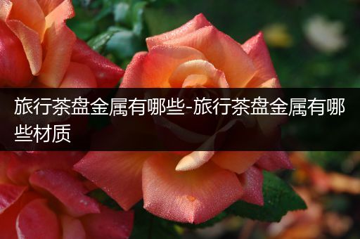 旅行茶盘金属有哪些-旅行茶盘金属有哪些材质
