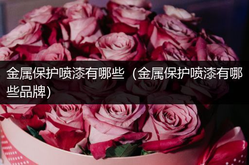 金属保护喷漆有哪些（金属保护喷漆有哪些品牌）