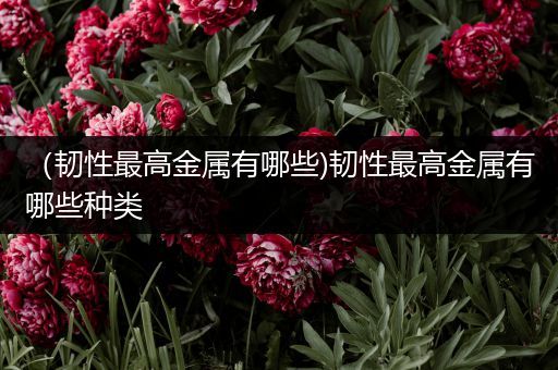 （韧性最高金属有哪些)韧性最高金属有哪些种类