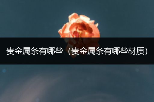 贵金属条有哪些（贵金属条有哪些材质）