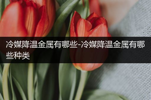 冷媒降温金属有哪些-冷媒降温金属有哪些种类