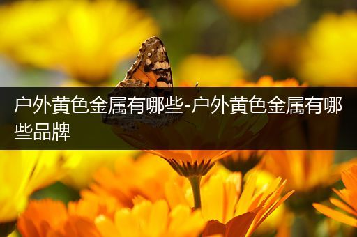 户外黄色金属有哪些-户外黄色金属有哪些品牌