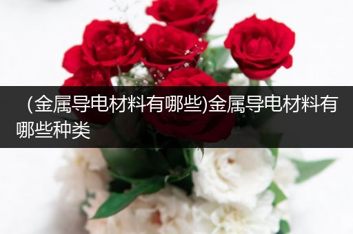 （金属导电材料有哪些)金属导电材料有哪些种类