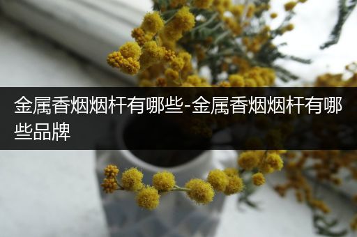 金属香烟烟杆有哪些-金属香烟烟杆有哪些品牌