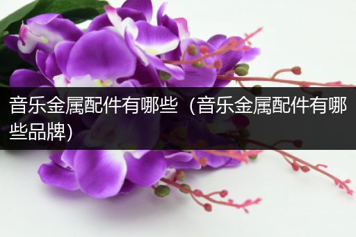 音乐金属配件有哪些（音乐金属配件有哪些品牌）