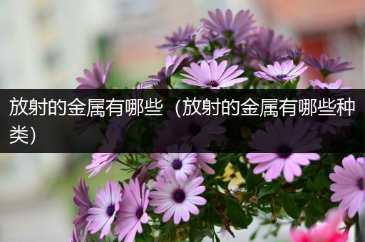 放射的金属有哪些（放射的金属有哪些种类）