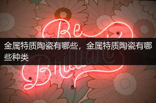金属特质陶瓷有哪些，金属特质陶瓷有哪些种类