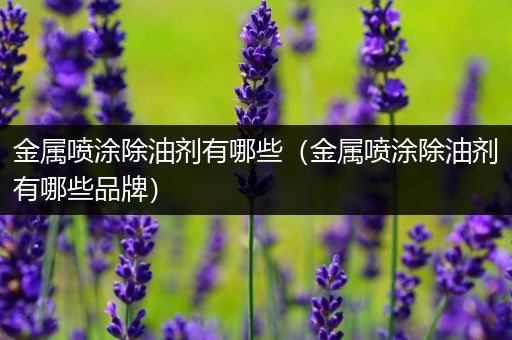 金属喷涂除油剂有哪些（金属喷涂除油剂有哪些品牌）
