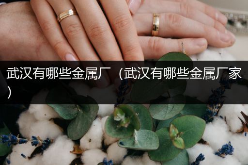 武汉有哪些金属厂（武汉有哪些金属厂家）