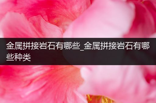 金属拼接岩石有哪些_金属拼接岩石有哪些种类