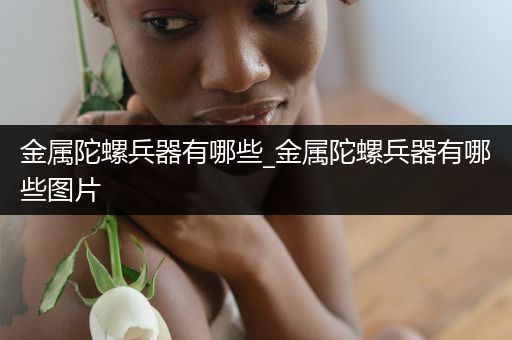 金属陀螺兵器有哪些_金属陀螺兵器有哪些图片