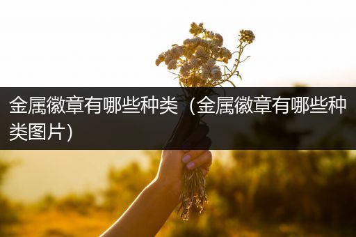 金属徽章有哪些种类（金属徽章有哪些种类图片）
