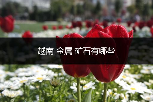 越南 金属 矿石有哪些