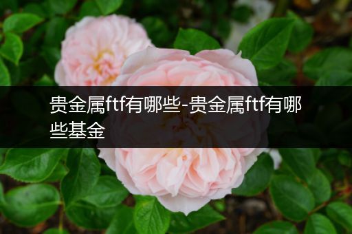 贵金属ftf有哪些-贵金属ftf有哪些基金