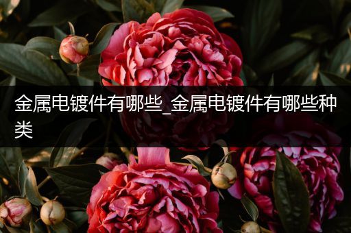 金属电镀件有哪些_金属电镀件有哪些种类