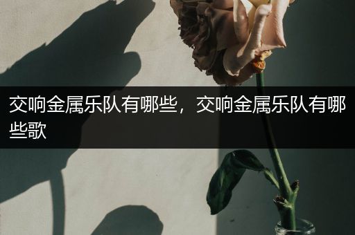 交响金属乐队有哪些，交响金属乐队有哪些歌