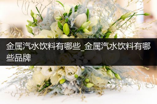 金属汽水饮料有哪些_金属汽水饮料有哪些品牌