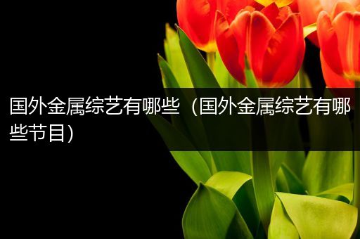 国外金属综艺有哪些（国外金属综艺有哪些节目）