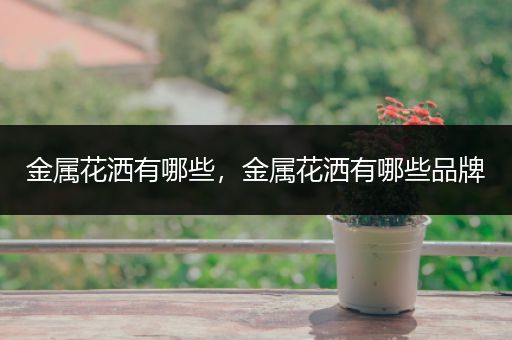 金属花洒有哪些，金属花洒有哪些品牌