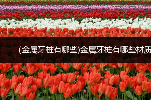 （金属牙桩有哪些)金属牙桩有哪些材质