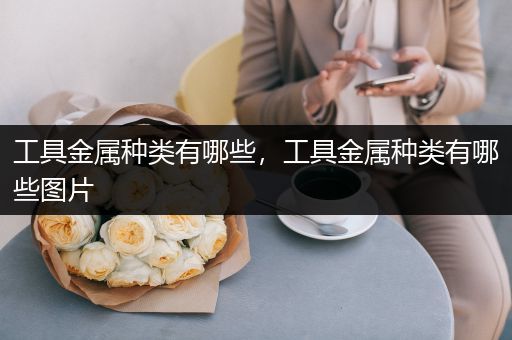 工具金属种类有哪些，工具金属种类有哪些图片