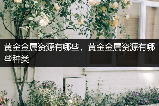 黄金金属资源有哪些，黄金金属资源有哪些种类