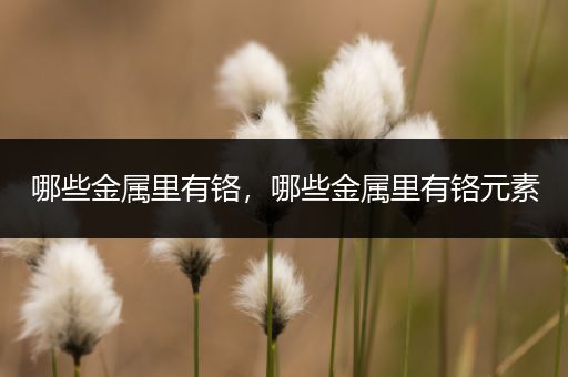 哪些金属里有铬，哪些金属里有铬元素