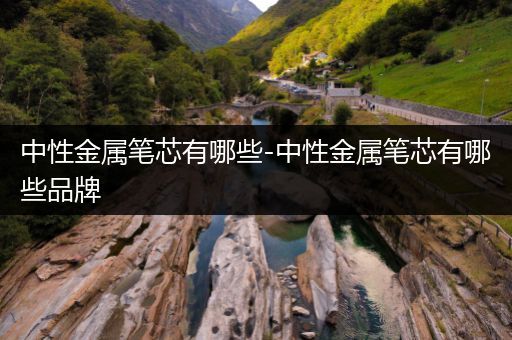 中性金属笔芯有哪些-中性金属笔芯有哪些品牌