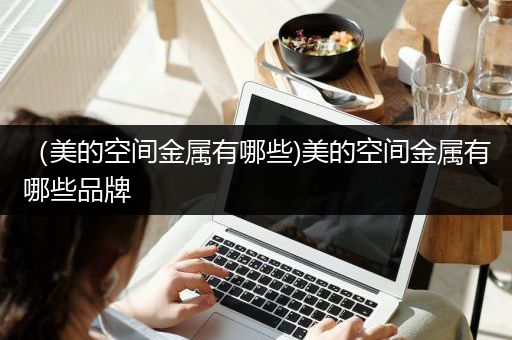 （美的空间金属有哪些)美的空间金属有哪些品牌