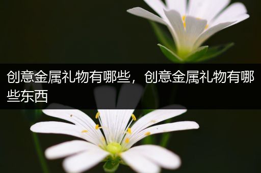 创意金属礼物有哪些，创意金属礼物有哪些东西