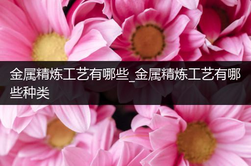 金属精炼工艺有哪些_金属精炼工艺有哪些种类