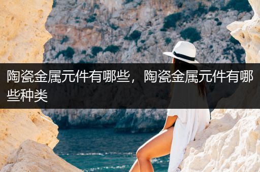 陶瓷金属元件有哪些，陶瓷金属元件有哪些种类