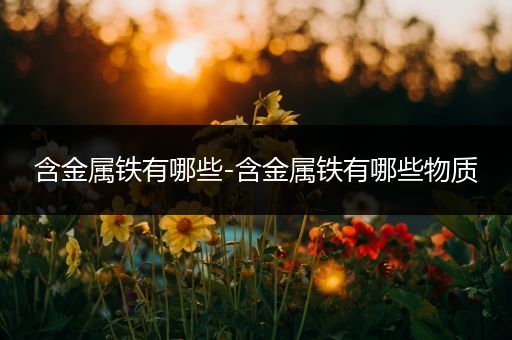 含金属铁有哪些-含金属铁有哪些物质