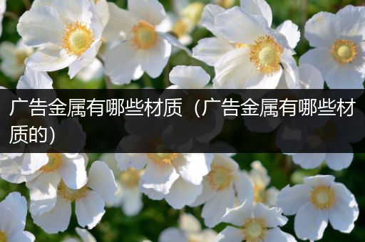 广告金属有哪些材质（广告金属有哪些材质的）