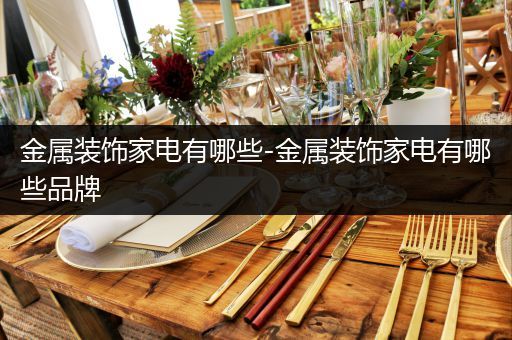 金属装饰家电有哪些-金属装饰家电有哪些品牌