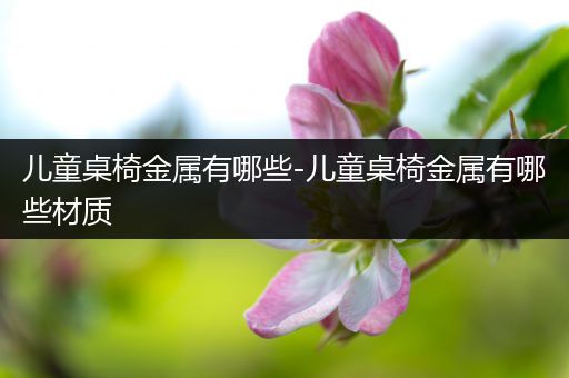 儿童桌椅金属有哪些-儿童桌椅金属有哪些材质